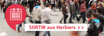 site de rencontre aux herbiers