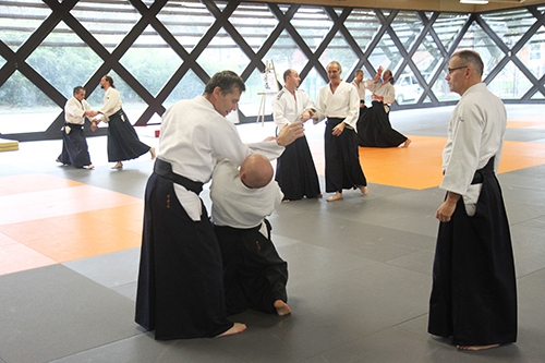 aIkido