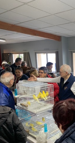 bourse aux oiseaux une