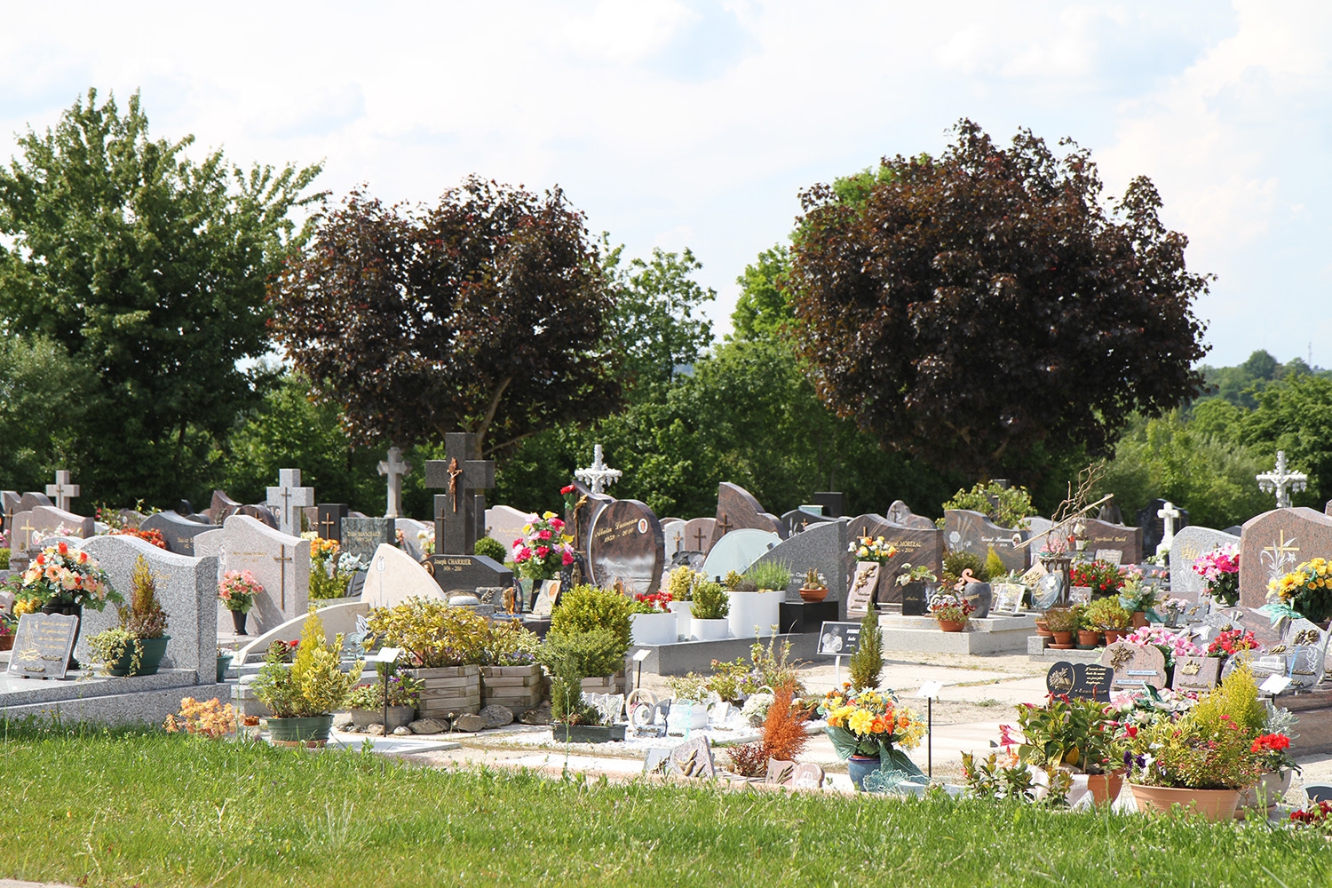 Cimetiere5 copie big