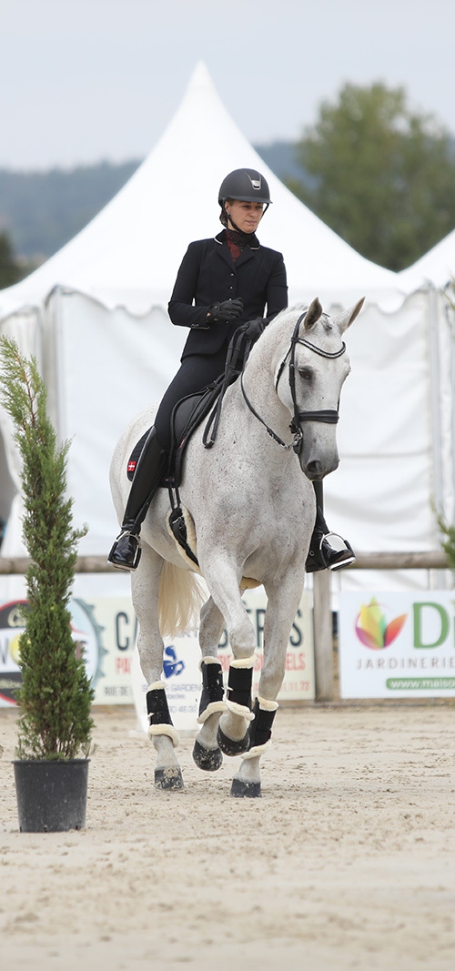 équitation de travavil une