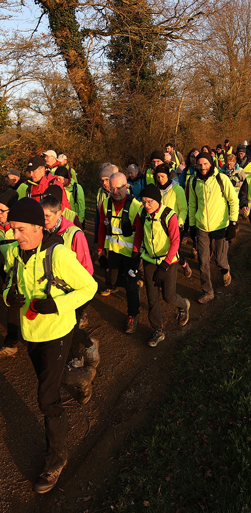 Marche audax 50 km Pieds z'ailés une