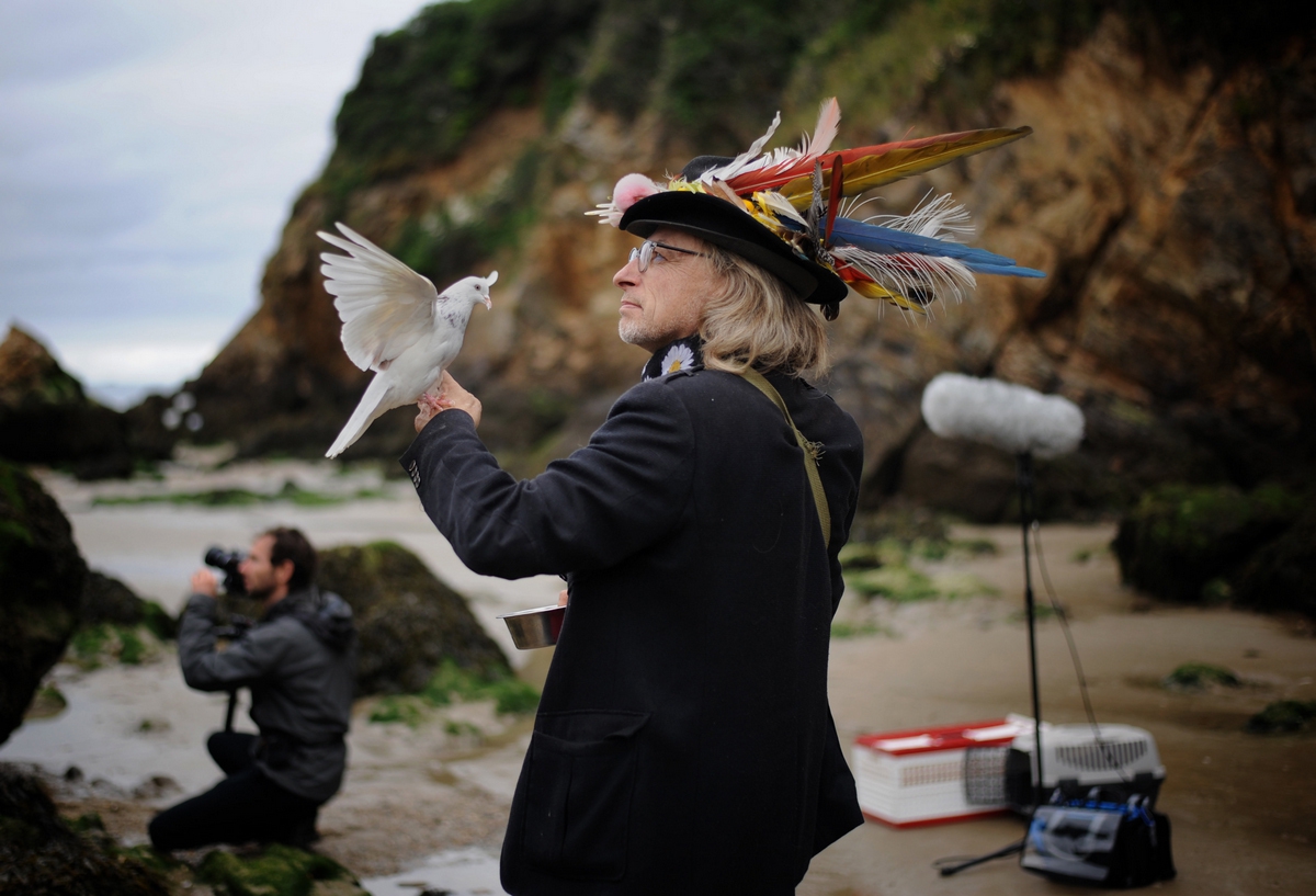 Oiseaux de pluie big Creditlaureenkeravec copie