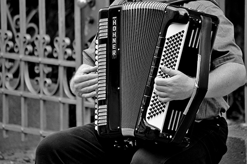 accordion-musical-instrument-handzuginstrument-musician-163823 copie